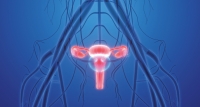 Les enjeux du dépistage du cancer de l&#039;utérus